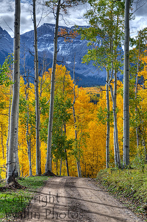 Fall Portrait - Sneffels Range