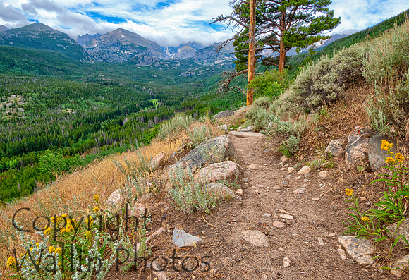 Bierstadt Lake Trail