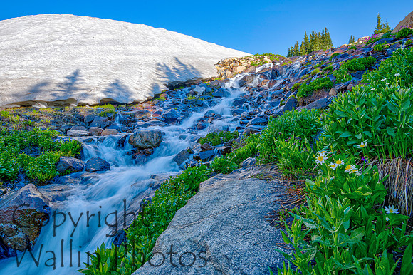 Indian Peaks Wilderness Area