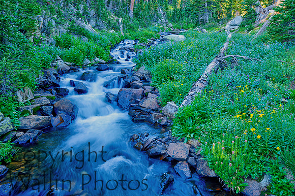 Mitchell Lake Trail