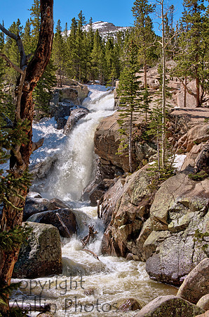 Albert Falls - Rocky Mountain National Park