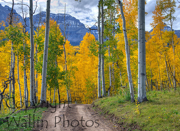 Sneffels Range Autumn Landscape